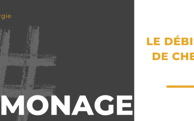 LE DÉBISTRAGE DE CHEMINÉE